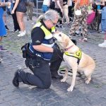 Drugs Dogs Demo